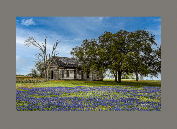 Old Homestead -  deckle edge - Image 2