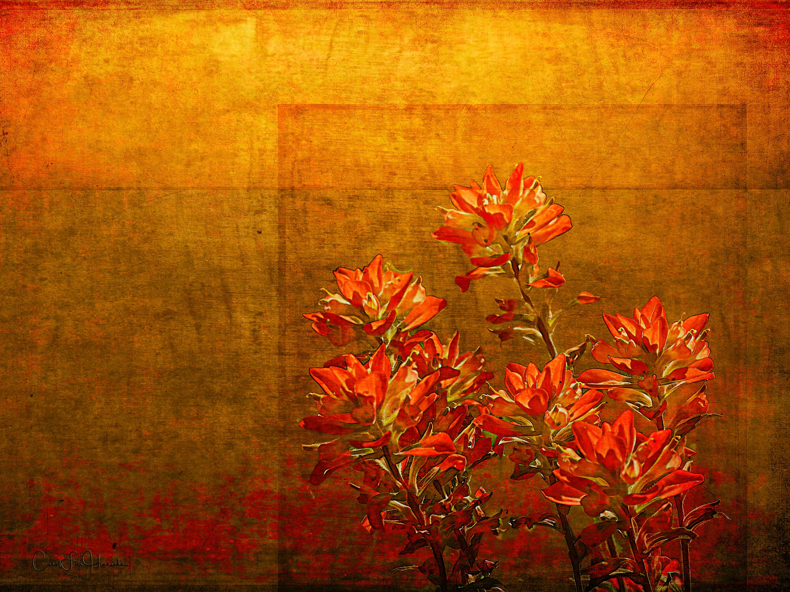 Paintbrush on the Horizon