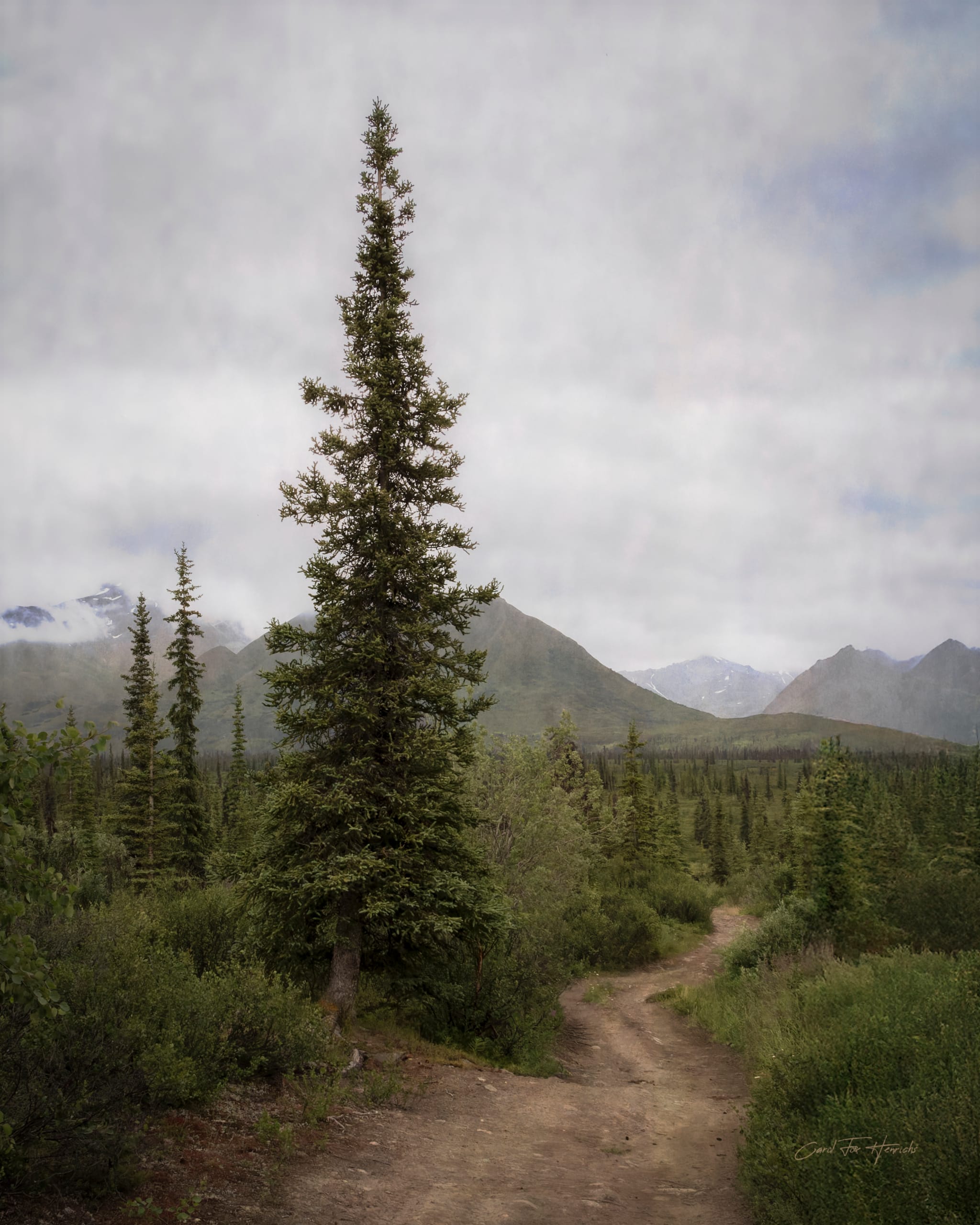 Path to the Place of Knowing- Limited Editions - Image 2