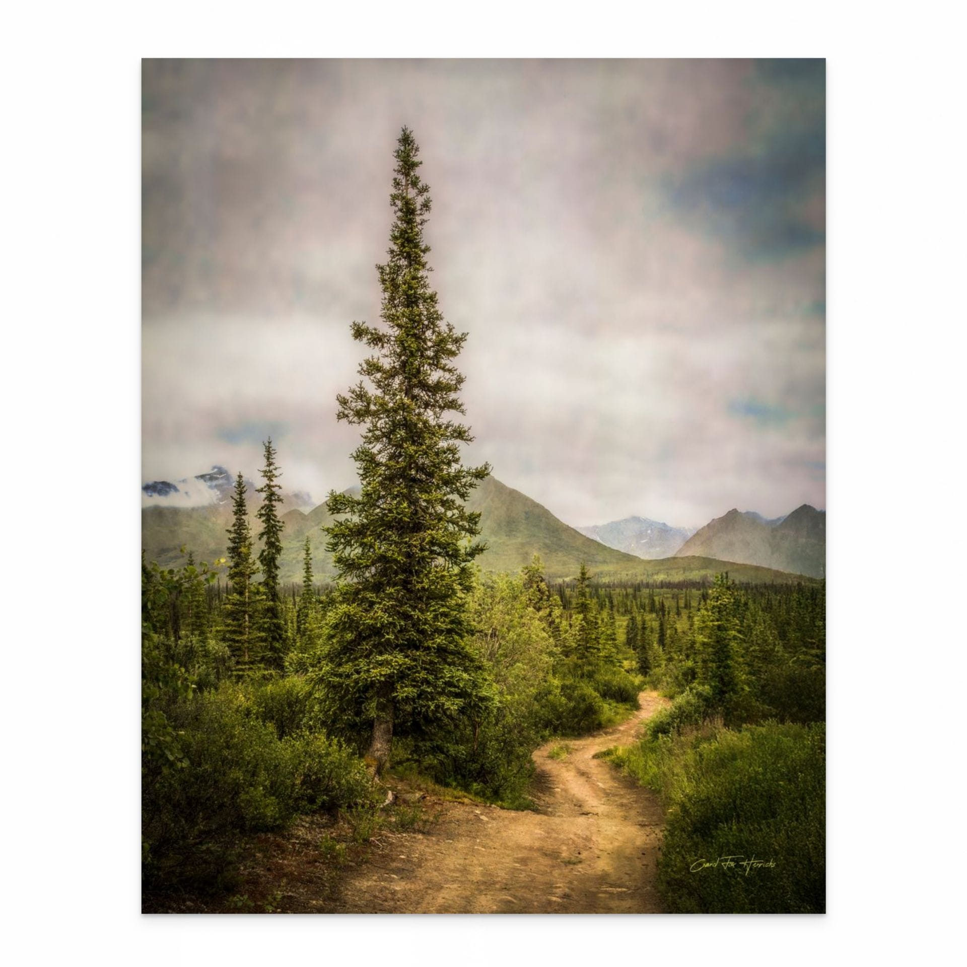 Path to the Place of Knowing- Limited Editions