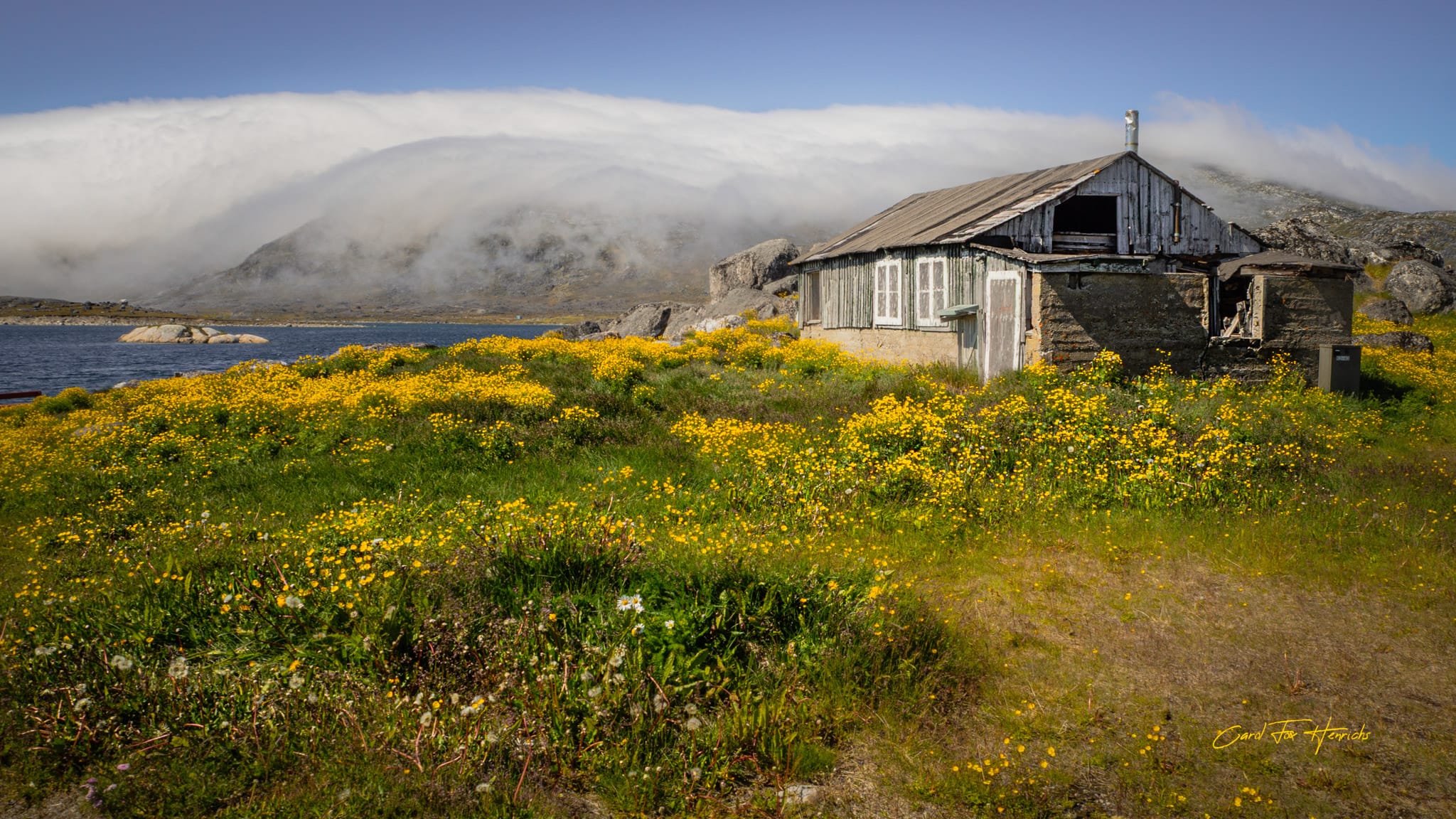 Where Flowers Flourish and Memories Linger - Image 2