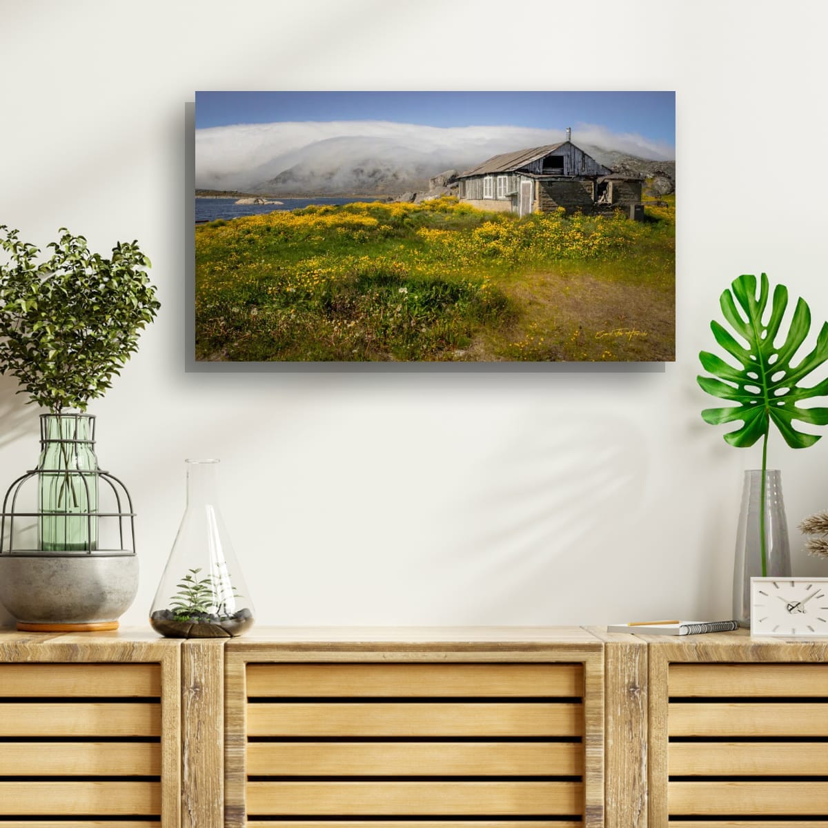 Where Flowers Flourish and Memories Linger - Image 3