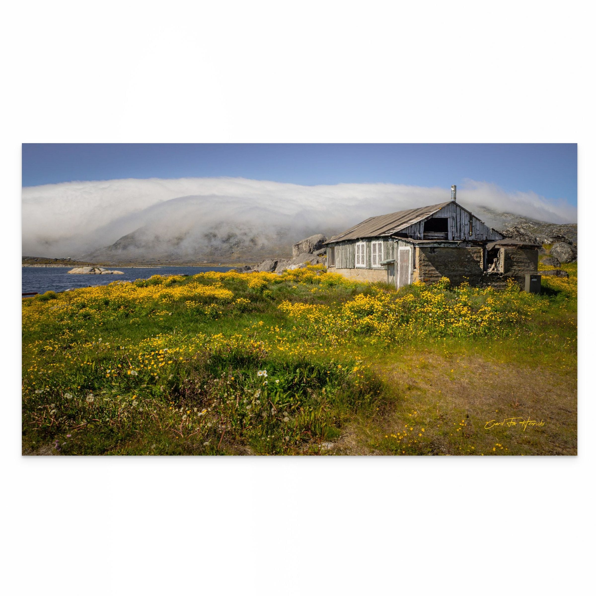 Where Flowers Flourish and Memories Linger