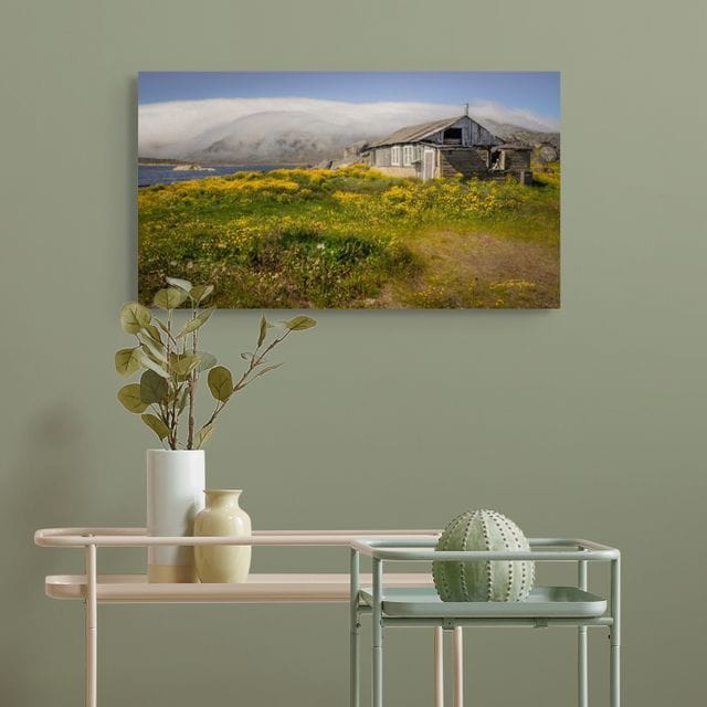 Where Flowers Flourish and Memories Linger - Image 5