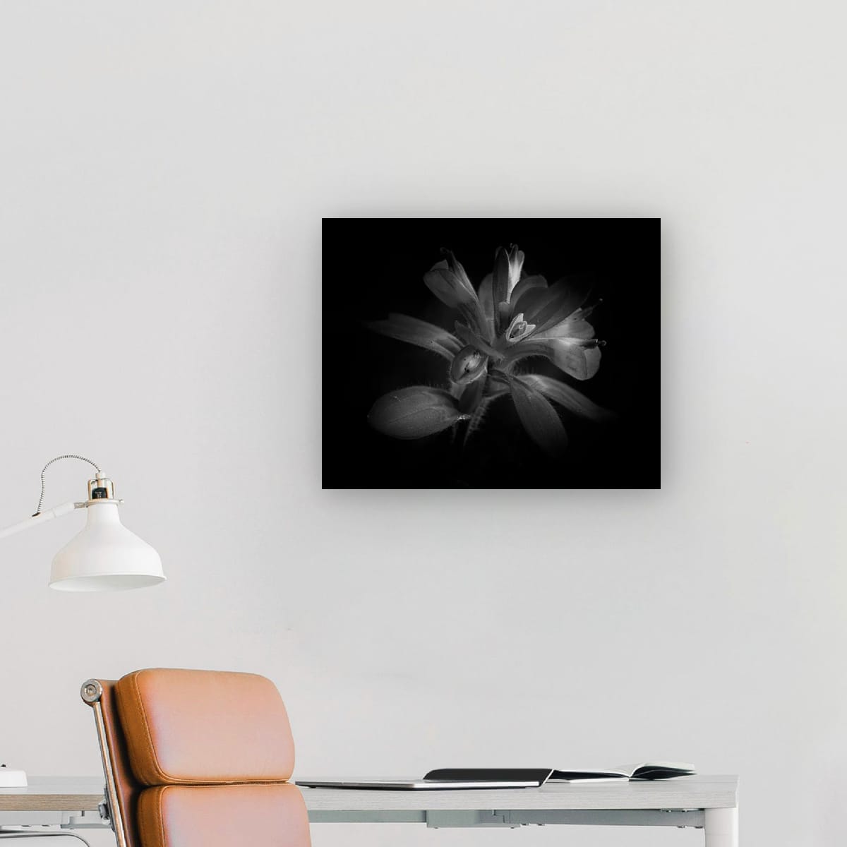 Petals in Monochrome: Monochrome Indian Paintbrush - Image 2