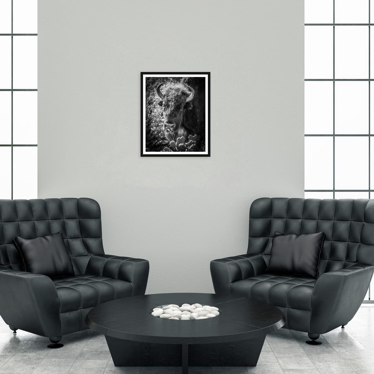 Wild in Monochrome: Bison - Image 3