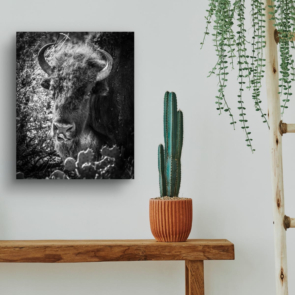 Wild in Monochrome: Bison - Image 2