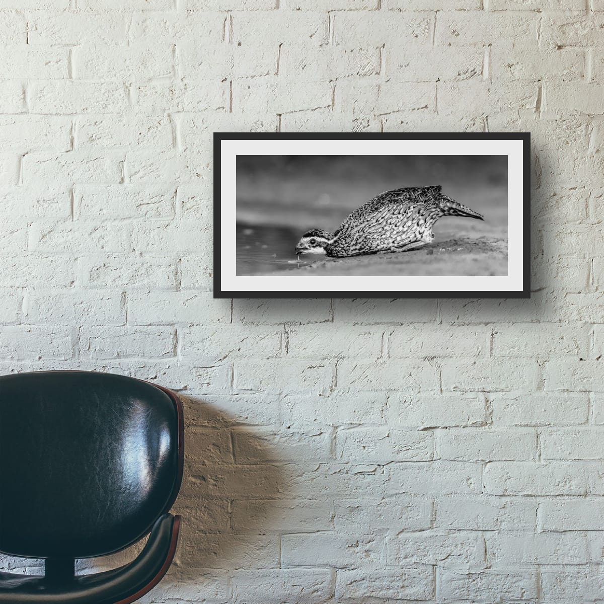 Wild in Monochrome: Bobwhite Quail - Image 3