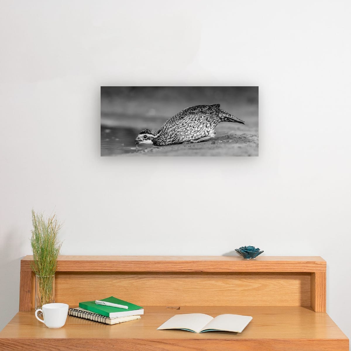 Wild in Monochrome: Bobwhite Quail - Image 2