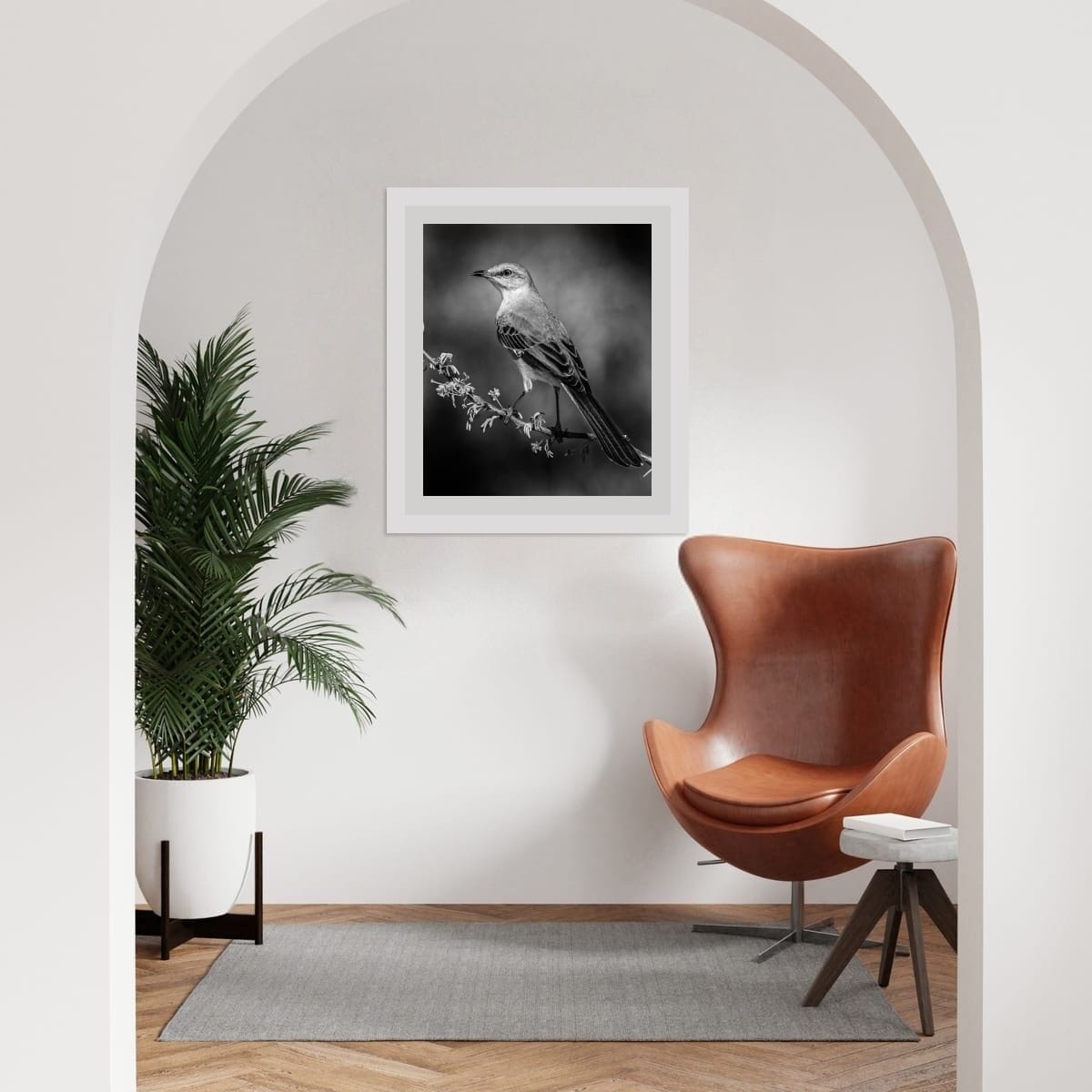 Wild in Monochrome: Elegant Mockingbird - Image 3