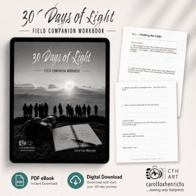 30 Days of Light: Field Companion Workbook